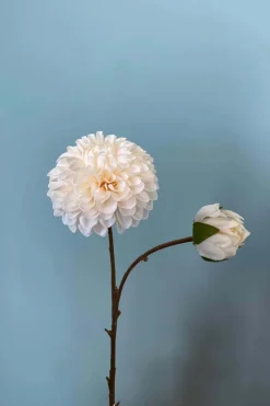 Pip Studio Weihnachten|Künstliche Blumen|Pip Künstliche Blumen Winter Primrose Small